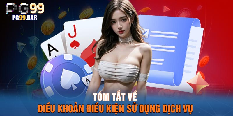 Tóm tắt về điều khoản điều kiện sử dụng dịch vụ