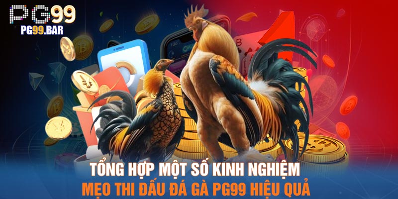 Tổng hợp một số kinh nghiệm, mẹo thi đấu đá gà PG99 hiệu quả